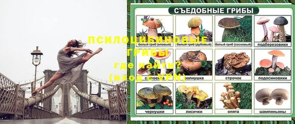 прущие крисы Абаза