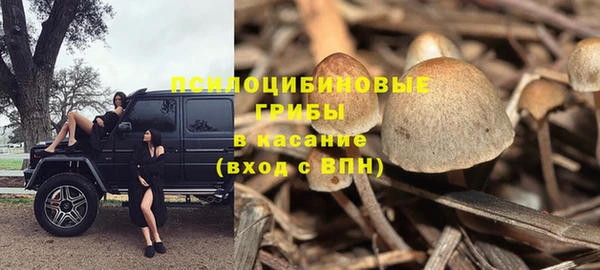 героин Алексин