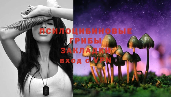 прущие крисы Абаза