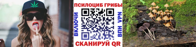 OMG ССЫЛКА  Чулым  Галлюциногенные грибы мицелий 